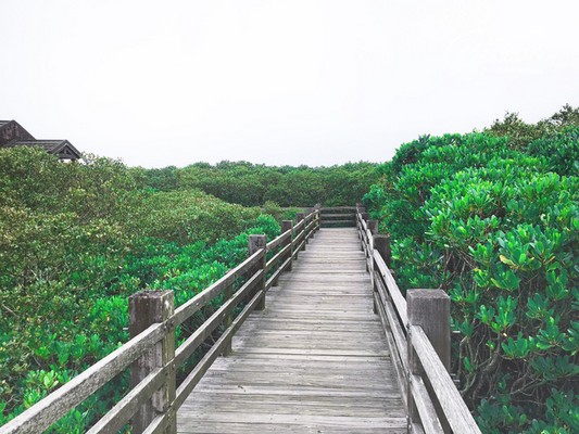 Tân Trúc hấp dẫn qua nhiều địa điểm tham quan thú vị Tân Trúc hấp dẫn qua nhiều địa điểm tham quan thú vị