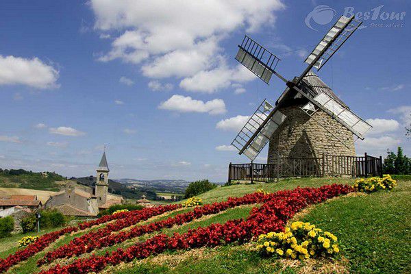 Ghé thăm vương quốc của loài hoa Tulip Ghé thăm vương quốc của loài hoa Tulip