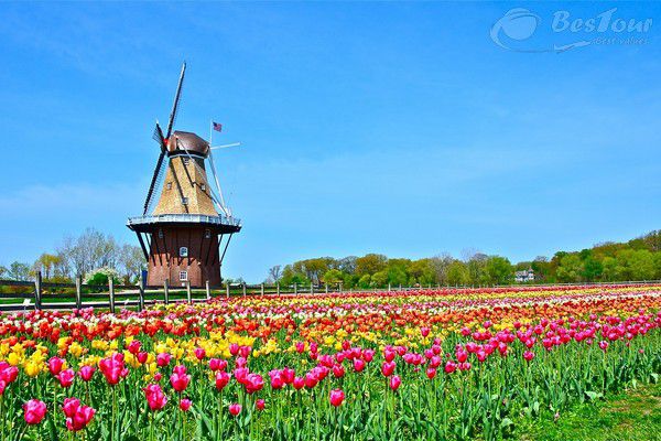 Ghé thăm vương quốc của loài hoa Tulip Ghé thăm vương quốc của loài hoa Tulip