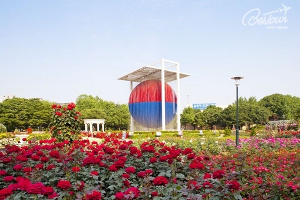 Xứ Hàn những mùa hoa Xứ Hàn những mùa hoa