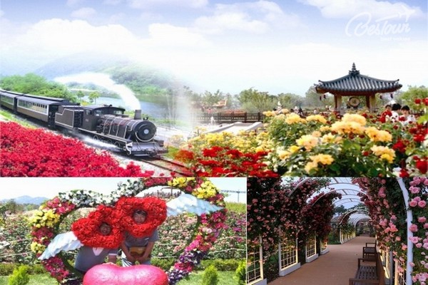 Xứ Hàn những mùa hoa Xứ Hàn những mùa hoa