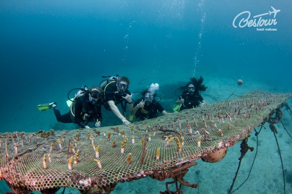 Top 10 địa điểm du lịch Thái Lan không thể bỏ qua Top 10 địa điểm du lịch Thái Lan không thể bỏ qua