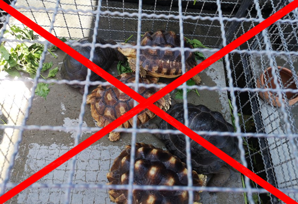 Chợ Chatuchak- Chợ Cuối Tuần Náo Nhiệt Nhất Thái Lan Chợ Chatuchak- Chợ Cuối Tuần Náo Nhiệt Nhất Thái Lan