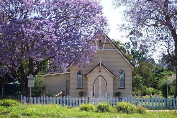 Chiêm ngưỡng vẻ đẹp mơ màng của Úc với hoa phượng tím tháng 9 Chiêm ngưỡng vẻ đẹp mơ màng của Úc với hoa phượng tím tháng 9