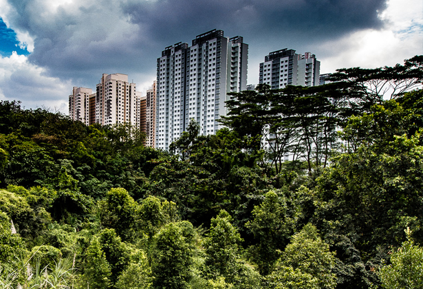 Rừng nguyên sinh thứ cấp tại Sentosa