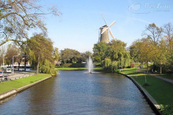 Theo dòng Leiden khám phá vẻ đẹp thơ mộng của quốc hoa tulip Theo dòng Leiden khám phá vẻ đẹp thơ mộng của quốc hoa tulip