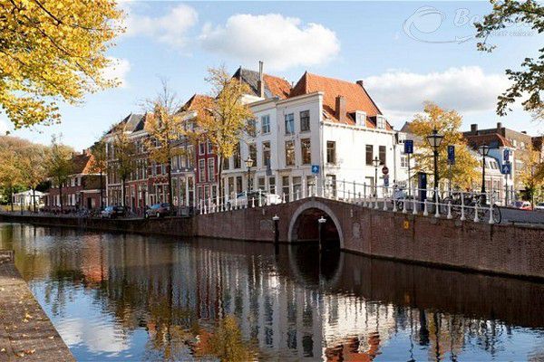 Theo dòng Leiden khám phá vẻ đẹp thơ mộng của quốc hoa tulip Theo dòng Leiden khám phá vẻ đẹp thơ mộng của quốc hoa tulip