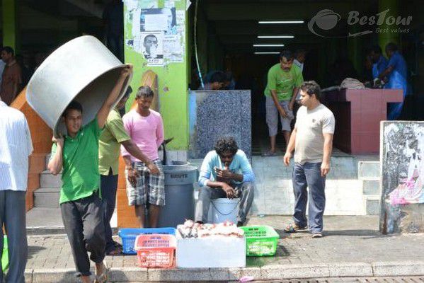 Khám phá chợ cá Male của Maldives Khám phá chợ cá Male của Maldives
