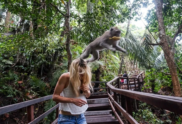 Khu bảo tồn khỉ Ubud Bali