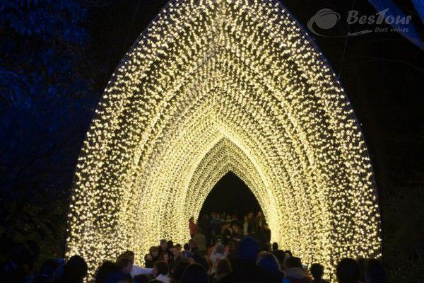 Đắm chìm trong ánh sáng với lễ hội Vivid, Úc Đắm chìm trong ánh sáng với lễ hội Vivid, Úc