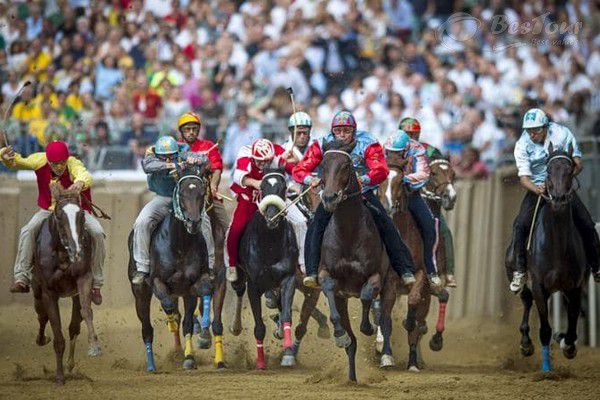 Hòa vào không khí sôi động với lễ hội đua ngựa Palio, Ý Hòa vào không khí sôi động với lễ hội đua ngựa Palio, Ý