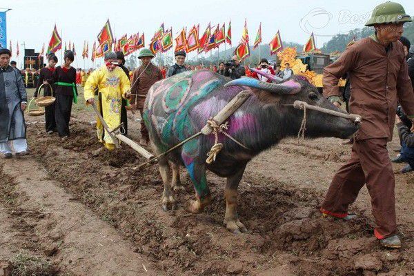 Hòa cùng không khí sôi động của lễ hội Tịch Điền Huế Hòa cùng không khí sôi động của lễ hội Tịch Điền Huế