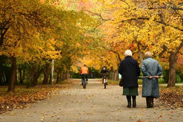 Xứ sở bạch dương sang thu  Xứ sở bạch dương sang thu