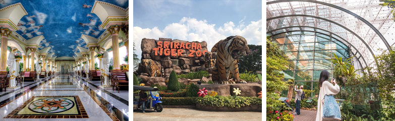 Tham quan Pattaya- Bangkok