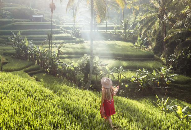 ruộng bậc thang Tegalalang- Ubud Bali