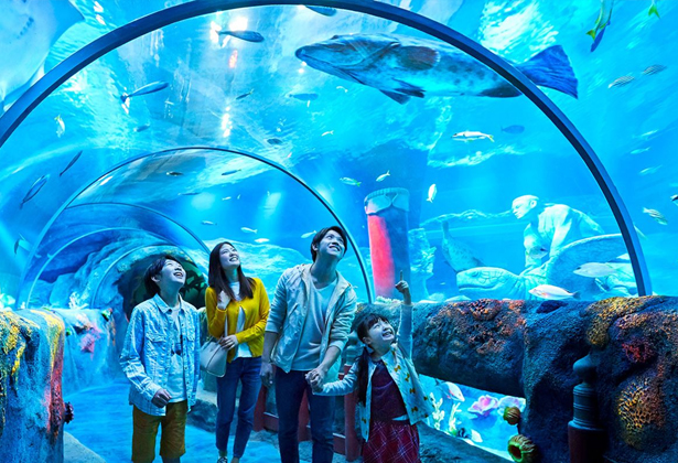 S.E.A Aquarium tại Sentosa