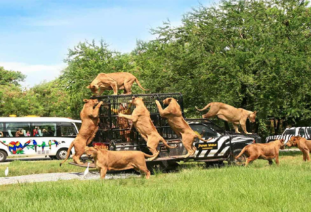 Du Lịch Bangkok Tự Túc- Gợi Ý 25 Điểm Tham Quan, Vui Chơi Du Lịch Bangkok Tự Túc- Gợi Ý 25 Điểm Tham Quan, Vui Chơi