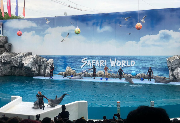 Safari World Bangkok- A-Z kinh nghiệm tham quan Vườn Thú Lớn Nhất Châu Á Safari World Bangkok- A-Z kinh nghiệm tham quan Vườn Thú Lớn Nhất Châu Á