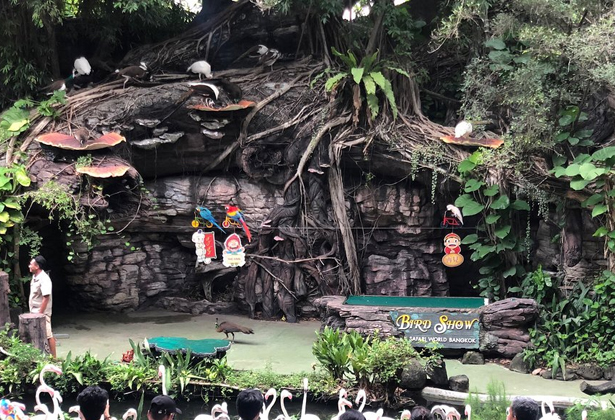 Safari World Bangkok- A-Z kinh nghiệm tham quan Vườn Thú Lớn Nhất Châu Á Safari World Bangkok- A-Z kinh nghiệm tham quan Vườn Thú Lớn Nhất Châu Á