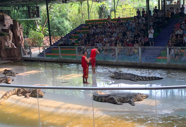 Sriracha Tiger Zoo- Điểm du lịch nổi tiếng của Thái Lan Sriracha Tiger Zoo- Điểm du lịch nổi tiếng của Thái Lan
