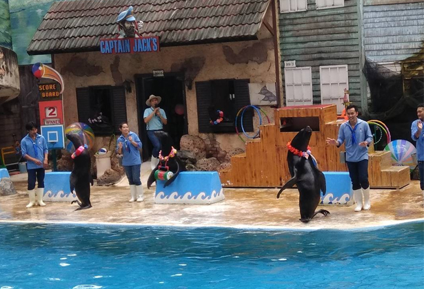 Safari World Bangkok- A-Z kinh nghiệm tham quan Vườn Thú Lớn Nhất Châu Á Safari World Bangkok- A-Z kinh nghiệm tham quan Vườn Thú Lớn Nhất Châu Á