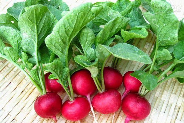 Thưởng thức súp củ cải đỏ - món ăn truyền thống của người Nga Thưởng thức súp củ cải đỏ - món ăn truyền thống của người Nga