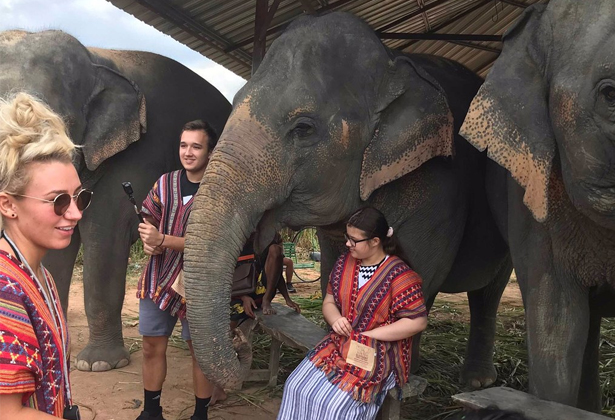 Làng voi Pattaya - khu bảo tồn nổi tiếng Thái Lan Làng voi Pattaya - khu bảo tồn nổi tiếng Thái Lan