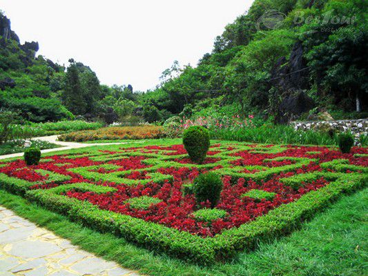 Thung lũng Hoa Hồng - biểu tượng ngọt ngào đất trời Sa Pa Thung lũng Hoa Hồng - biểu tượng ngọt ngào đất trời Sa Pa