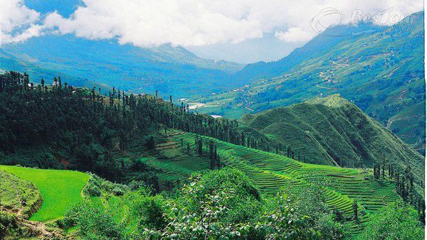 Thung lũng Mường Hoa - nét hoang sơ thanh bình Thung lũng Mường Hoa - nét hoang sơ thanh bình