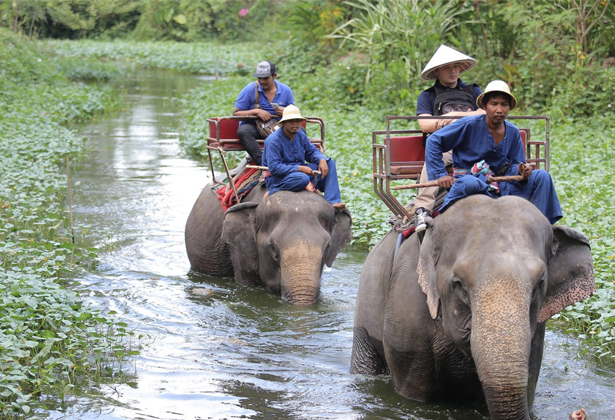 Làng voi Pattaya - khu bảo tồn nổi tiếng Thái Lan Làng voi Pattaya - khu bảo tồn nổi tiếng Thái Lan