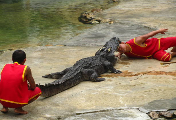 Du Lịch Bangkok Tự Túc- Gợi Ý 25 Điểm Tham Quan, Vui Chơi Du Lịch Bangkok Tự Túc- Gợi Ý 25 Điểm Tham Quan, Vui Chơi