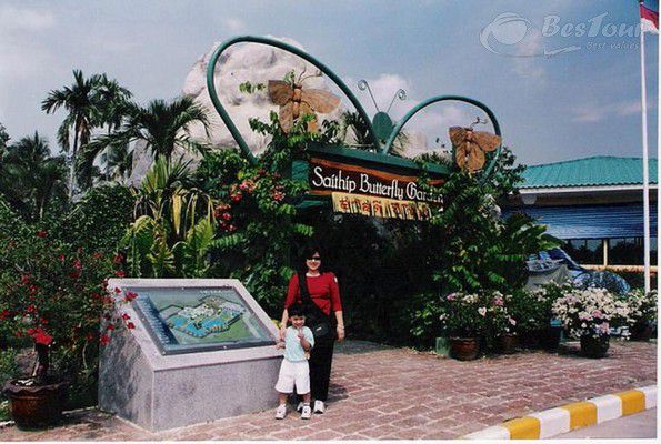 Vườn bướm Saithip Gardens- nét độc đáo du lịch Thái Lan Vườn bướm Saithip Gardens- nét độc đáo du lịch Thái Lan