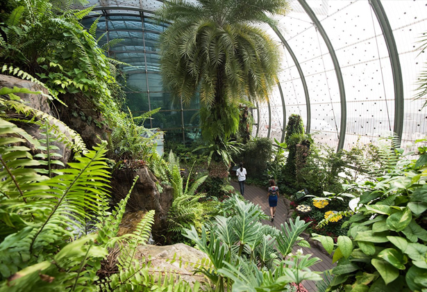 Lý Do Sân Bay Singapore Được Bình Chọn Là Sân Bay Tốt Nhất Thế Giới Lý Do Sân Bay Singapore Được Bình Chọn Là Sân Bay Tốt Nhất Thế Giới