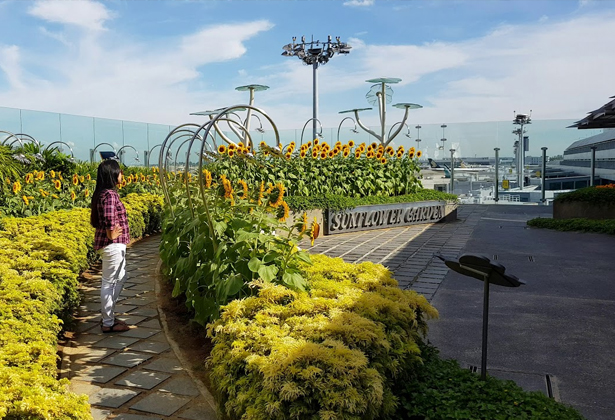 Lý Do Sân Bay Singapore Được Bình Chọn Là Sân Bay Tốt Nhất Thế Giới Lý Do Sân Bay Singapore Được Bình Chọn Là Sân Bay Tốt Nhất Thế Giới