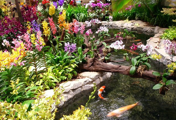 Lý Do Sân Bay Singapore Được Bình Chọn Là Sân Bay Tốt Nhất Thế Giới Lý Do Sân Bay Singapore Được Bình Chọn Là Sân Bay Tốt Nhất Thế Giới