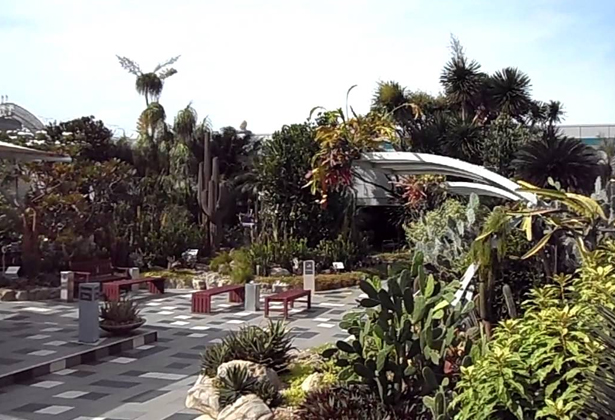 Lý Do Sân Bay Singapore Được Bình Chọn Là Sân Bay Tốt Nhất Thế Giới Lý Do Sân Bay Singapore Được Bình Chọn Là Sân Bay Tốt Nhất Thế Giới